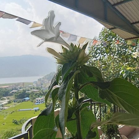 Gautam Garden Guest House 포카라 외부 사진