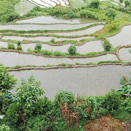 Gautam Garden Guest House 포카라 외부 사진