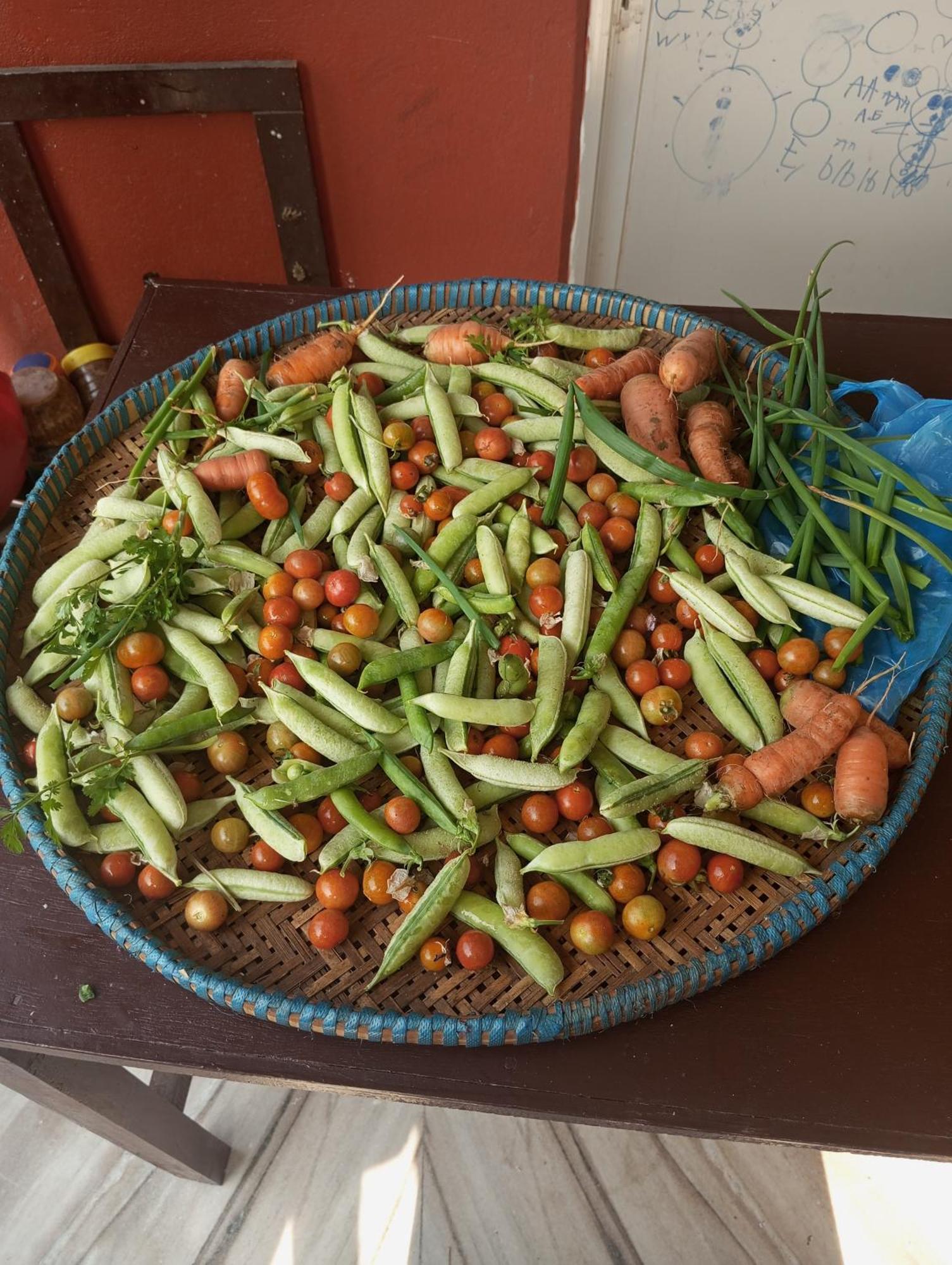 Gautam Garden Guest House 포카라 외부 사진