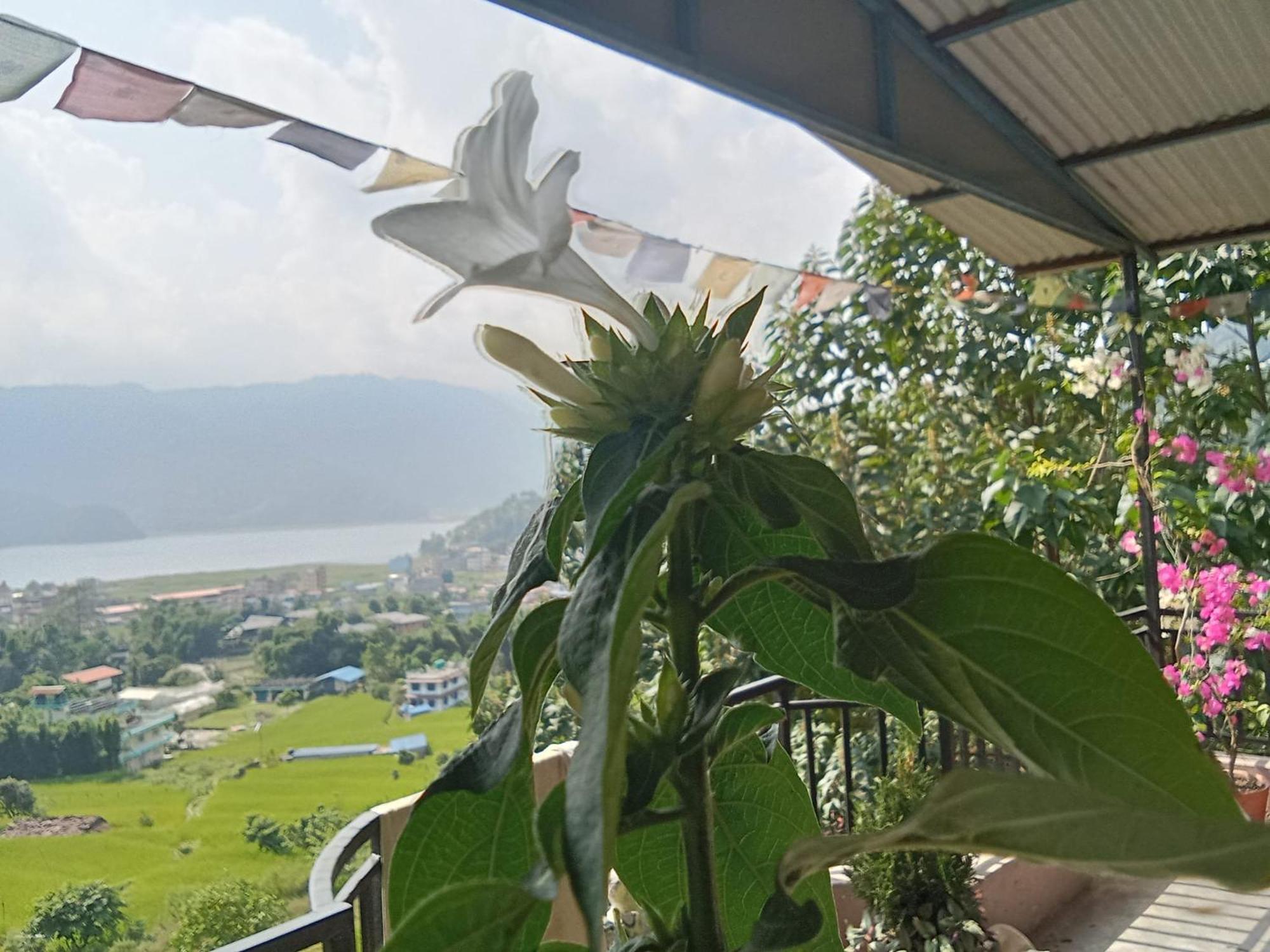 Gautam Garden Guest House 포카라 외부 사진