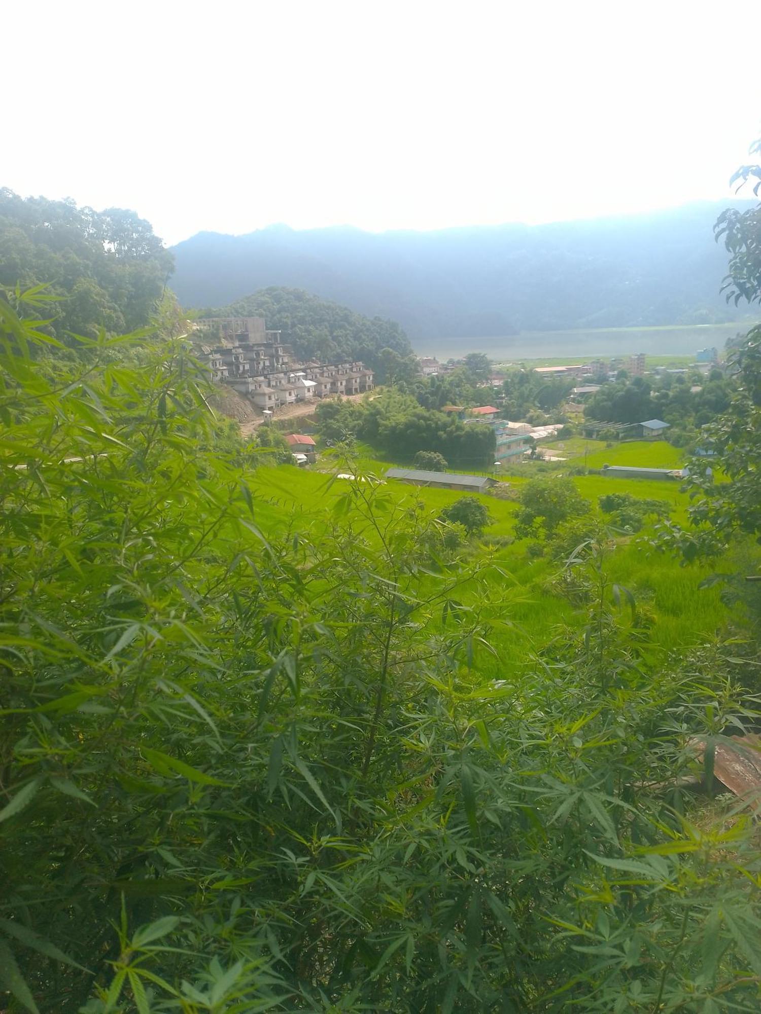 Gautam Garden Guest House 포카라 외부 사진